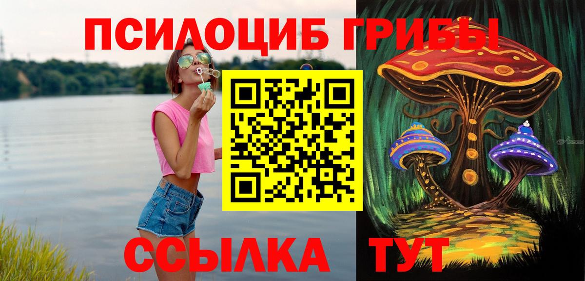 Галлюциногенные грибы GOLDEN TEACHER Камышлов