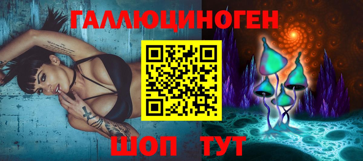 Галлюциногенные грибы прущие грибы  Вход с VPN  Камышлов  купить наркотики сайты  Галлюциногенные грибы мухоморы 